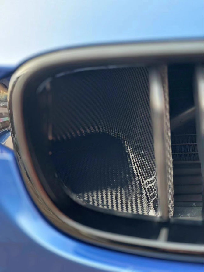 Geex Village Front Kidney Grill Snorkel Insert for BMW 3 Series M Sport 340i 335i F30 F31 2012-2019 Carbon Fiber