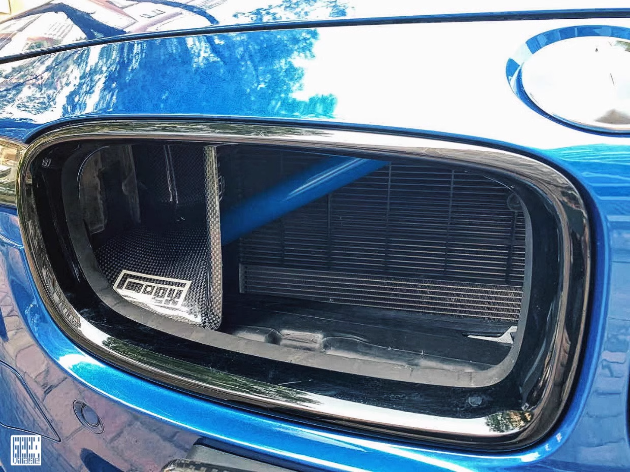 Geex Village Front Kidney Grill Snorkel Insert for BMW 3 Series M Sport 340i 335i F30 F31 2012-2019 Carbon Fiber