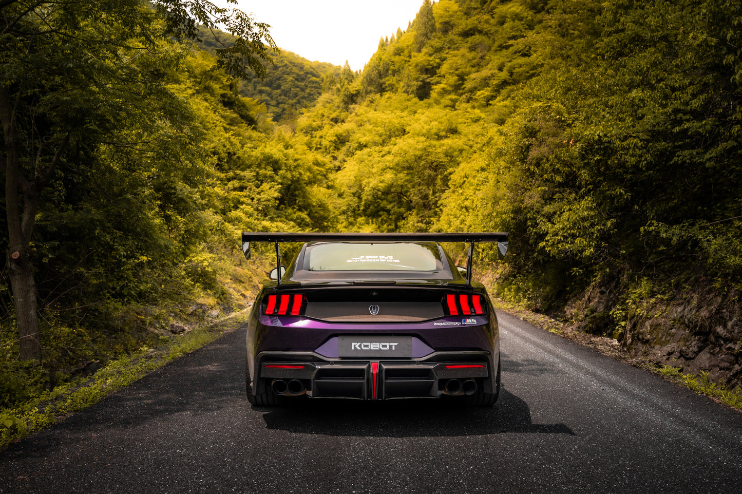 Robot Craftsman DARKSTAR Rear Diffuser for Ford Mustang S650 2024-ON Carbon Fiber/FRP
